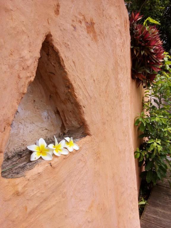 Les Bungalows De La Kazouale سان لوي المظهر الخارجي الصورة